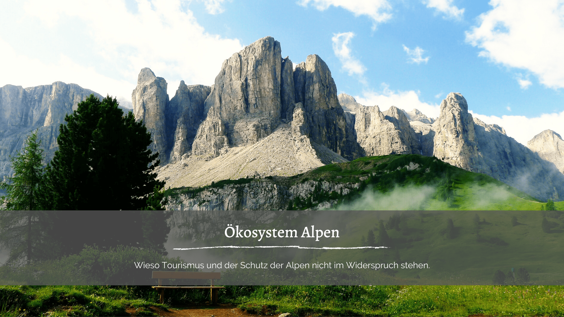 Ökosystem Alpen - Foto von Bergen in den Alpen mit einer Wiese und einer Bank zum Ausruhen davor.