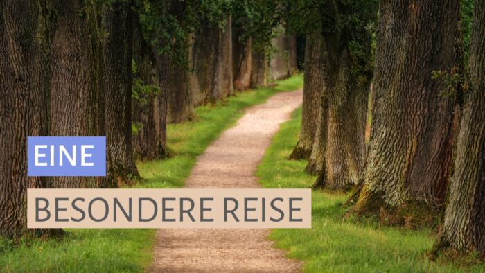 Bild zum Artikel: Die Kunst der Überarbeitung, in dem es um den Prozess hinter den Begriffen Stil- und Inhaltslekotrat geht. Text: Eine besondere Reise. Bildhintergrund: Foto von einem Waldweg.